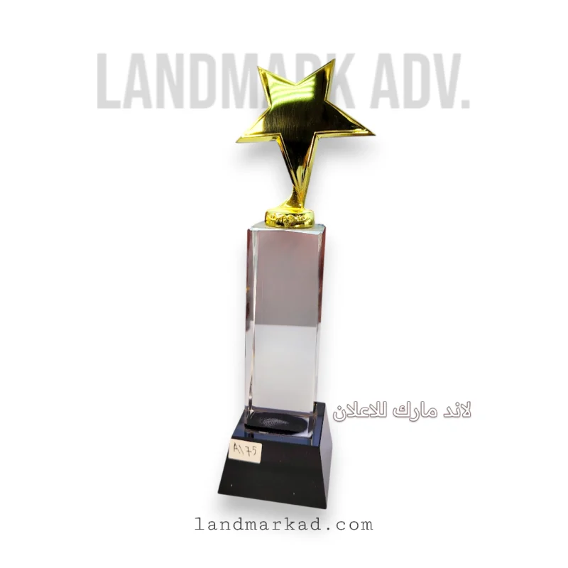 درع كريستال مع نجمة معدن دهبى 30 سم A175